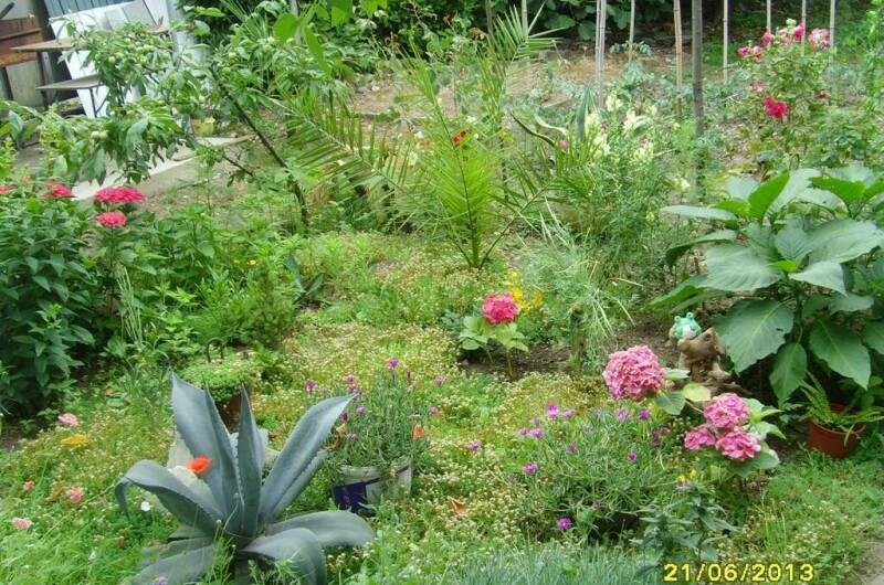 Частный сектор «У Кипариса»