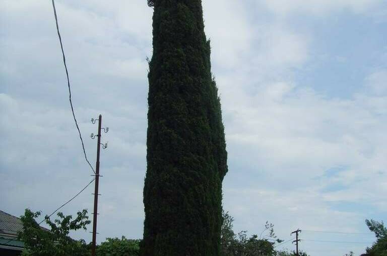 Частный сектор «У Кипариса»