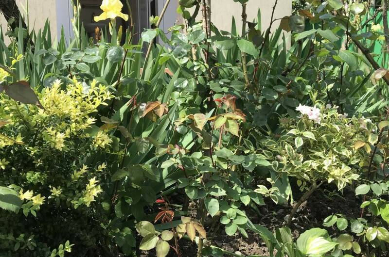 Гостевой дом «На Шолохова»