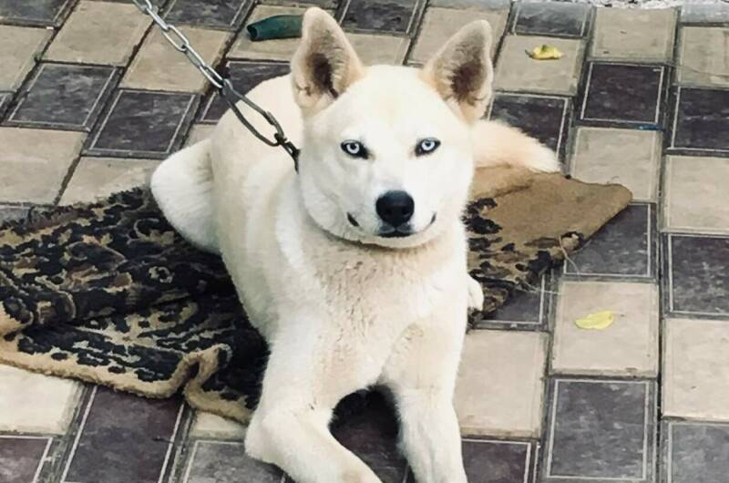 Гостевой дом «Очаг»