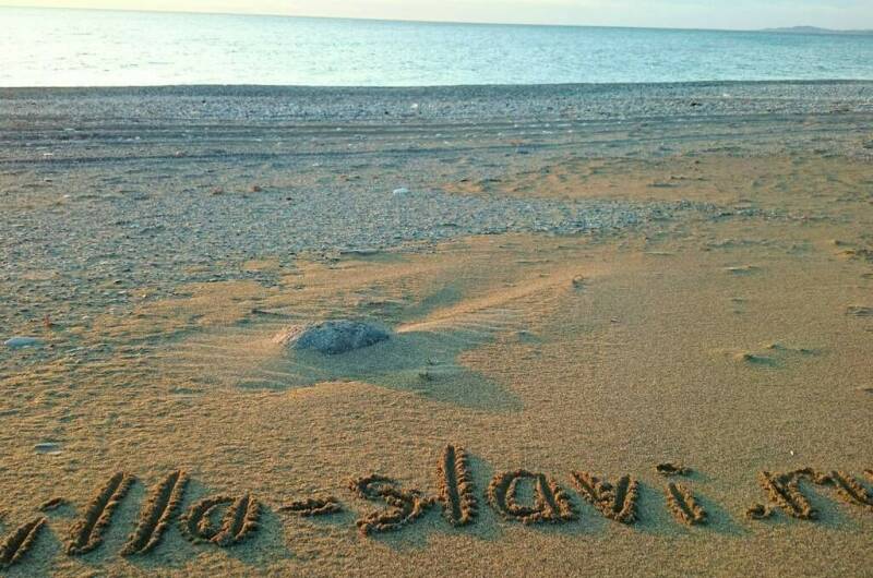 Мини-гостиница «Вилла Славы»