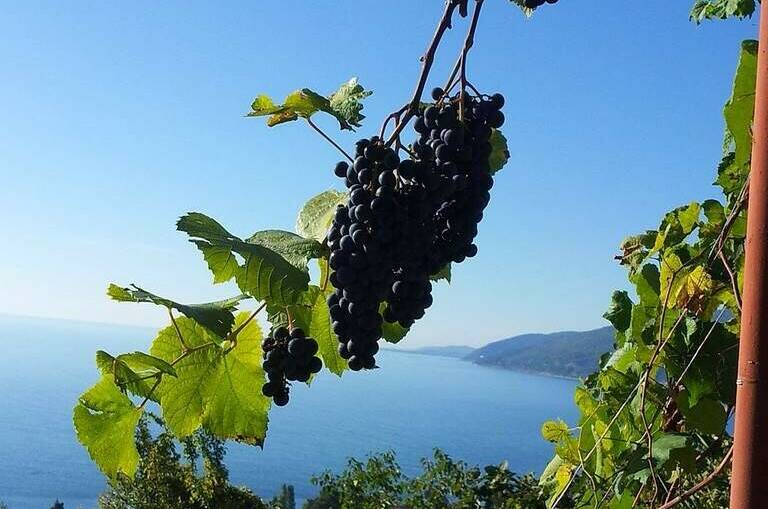 Гостевой дом «0 метров до моря»