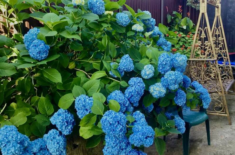 Гостевой дом «Псырцха»