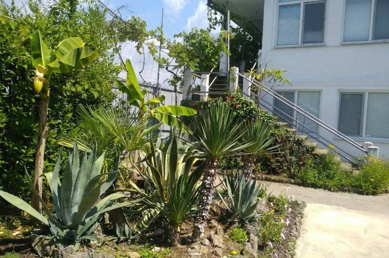 Гостевой дом «Бриз»