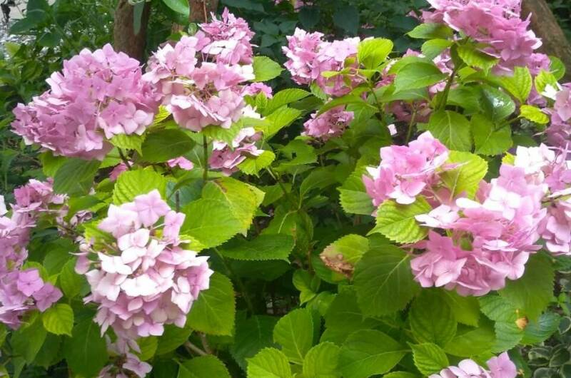 Гостевой дом «Бриз»