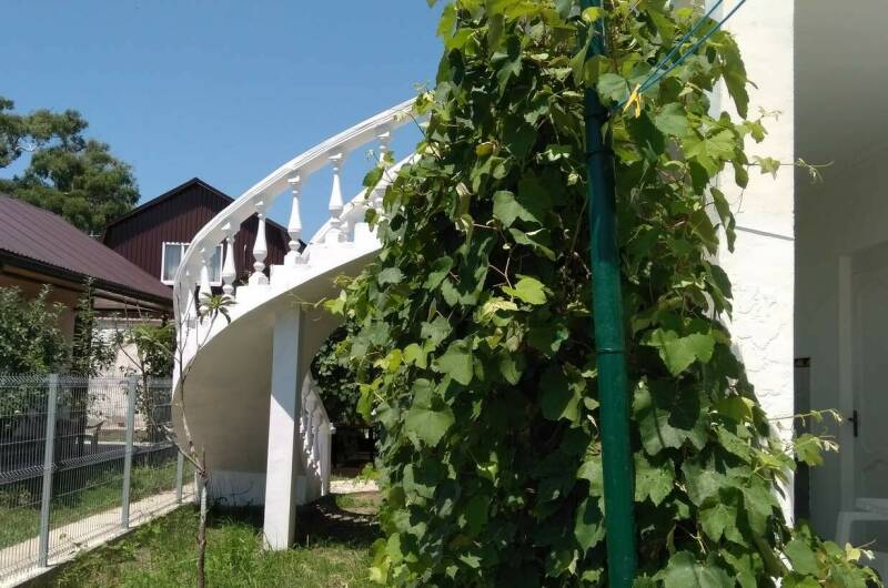 Гостевой дом «Бриз»