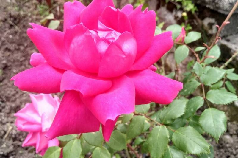 Гостевой дом «Бриз»