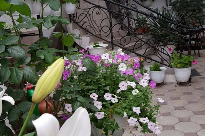 Частный гостевой дом «Жемчужина взморья»