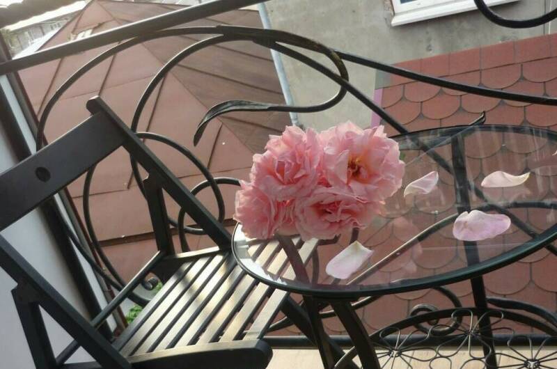 Частный гостевой дом «Жемчужина взморья»