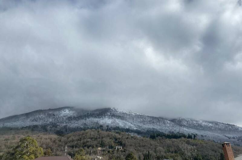 Трехкомнатные апартаменты на Абазгаа