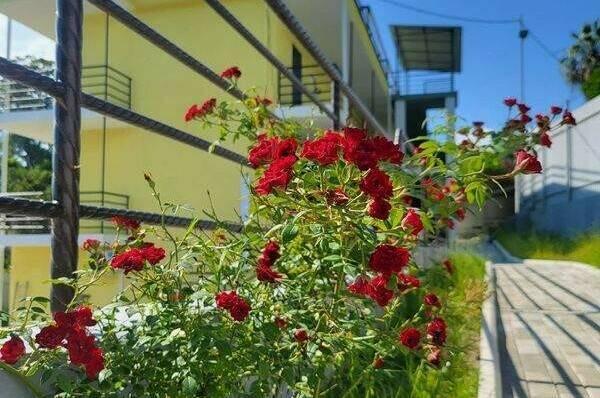 Мини-отель «Лимончелло»