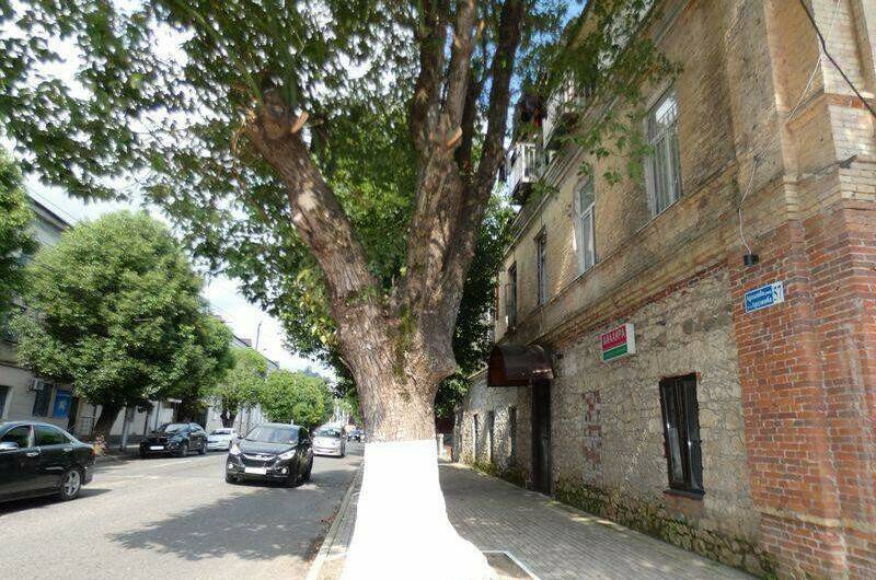 Мини-отель «Сухум Авеню»