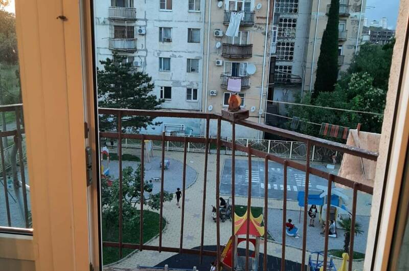 Двухкомнатная квартира на берегу моря