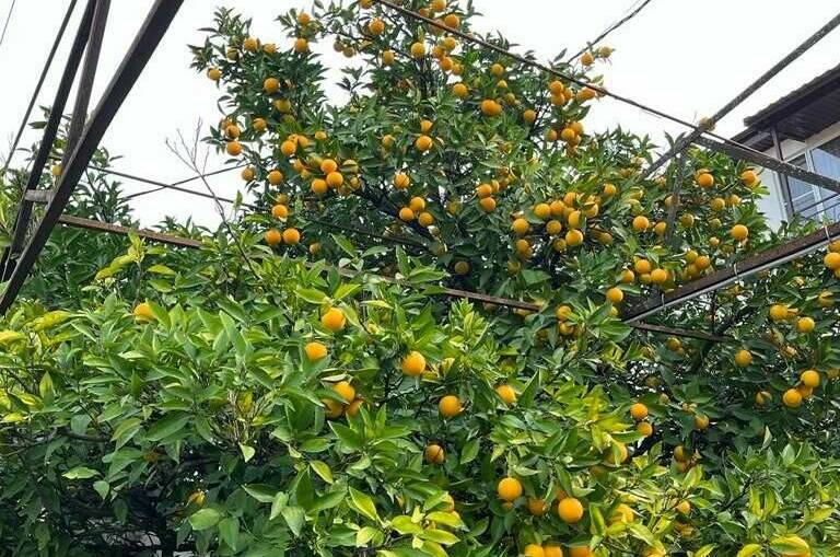 Гостевой дом «У моря»