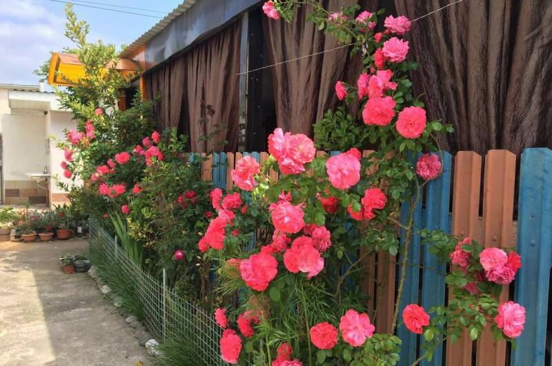 Гостевой дом «Аделина»