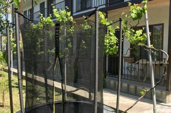 Гостевой дом «У Феликса»