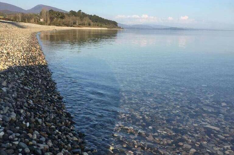 База отдыха «Мандарин»