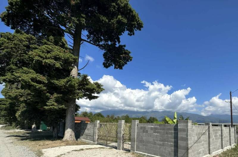 Гостевой дом «Амели»