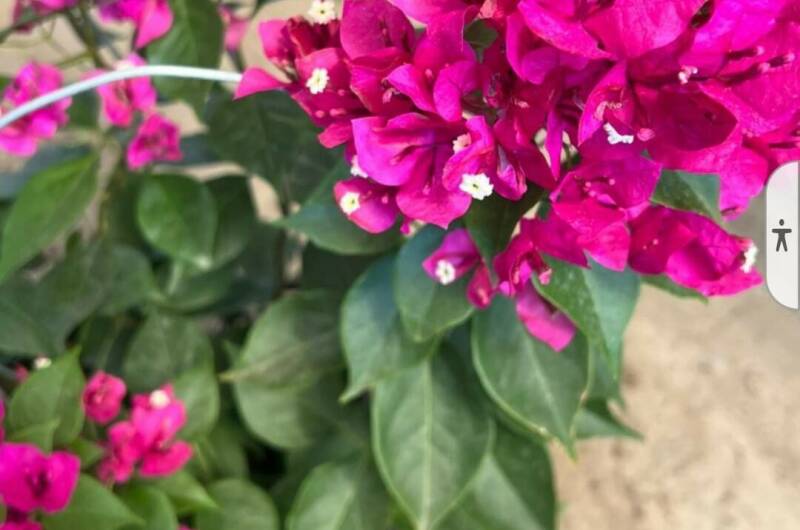 Гостевой дом «Анна-Мария»