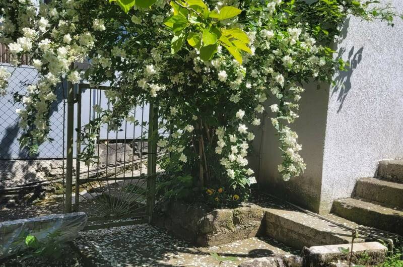 Гостевой дом «Анна-Мария»