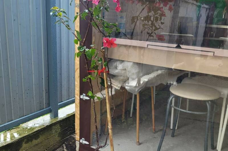 Гостевой дом «Анна-Мария»