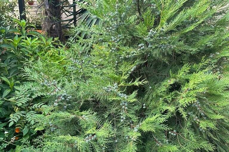 Гостевой дом «Морская сказка»