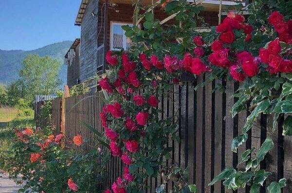 Гостевой дом «Морская сказка»