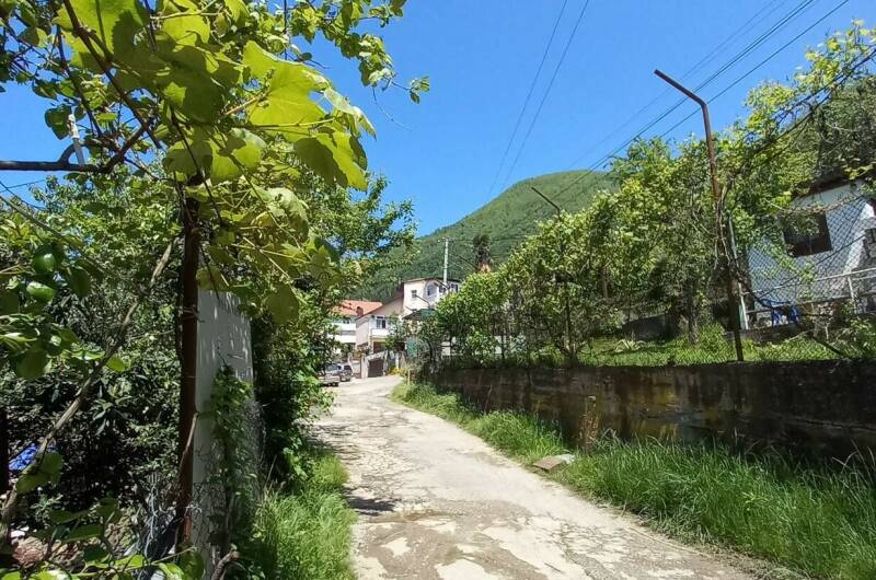 Гостевой дом «Тея»