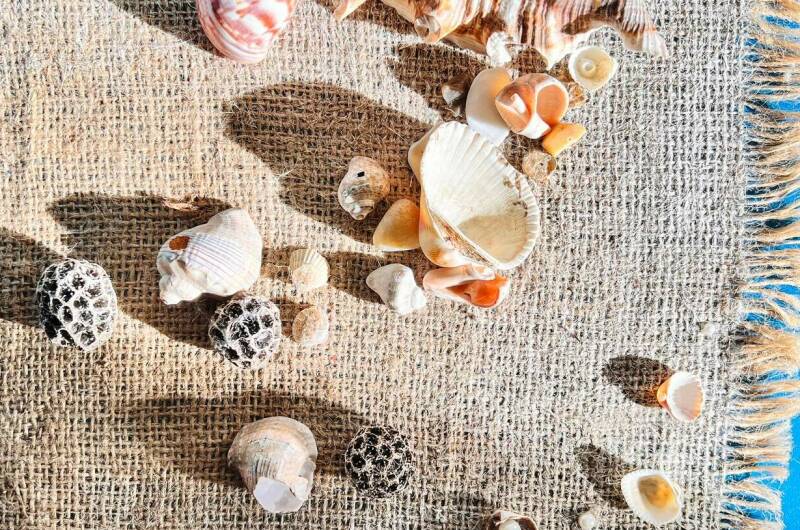 Гостевой дом «Зеленый Двор»