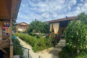 Изображение Гостевой дом «Adel» #4