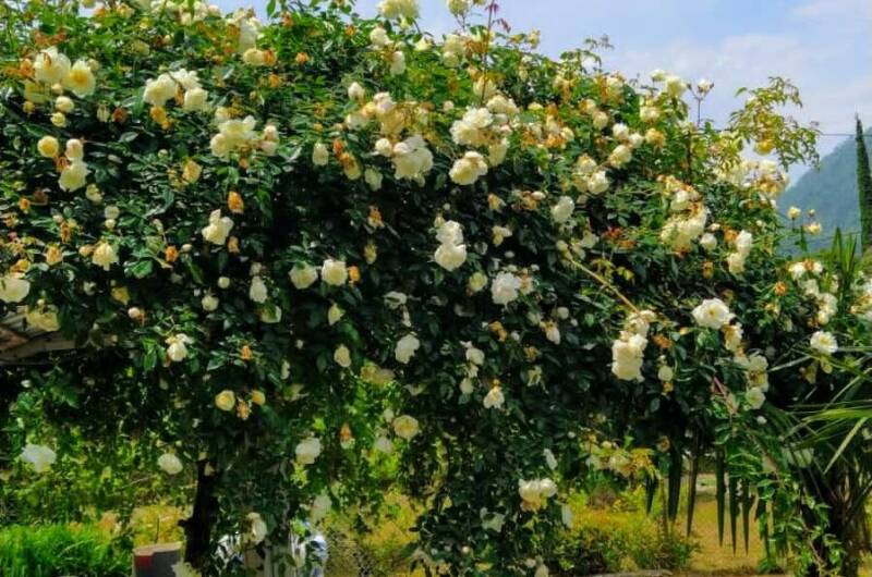 Частный сектор «У Джули»