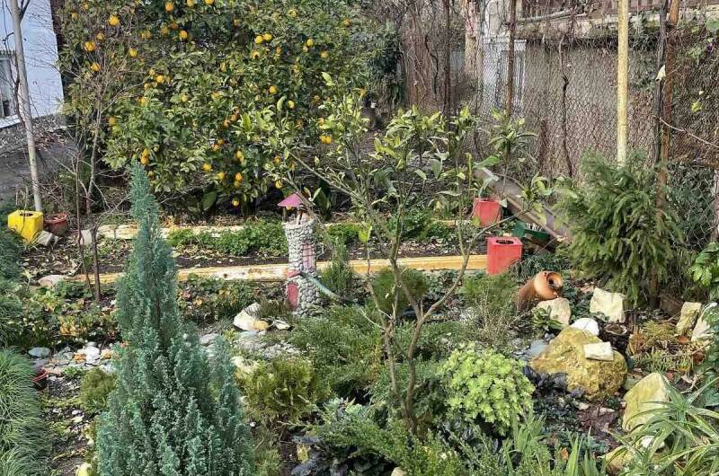 Домик «Роза» на Маяке