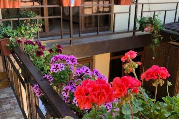 Гостевой дом «Мыс Надежды»