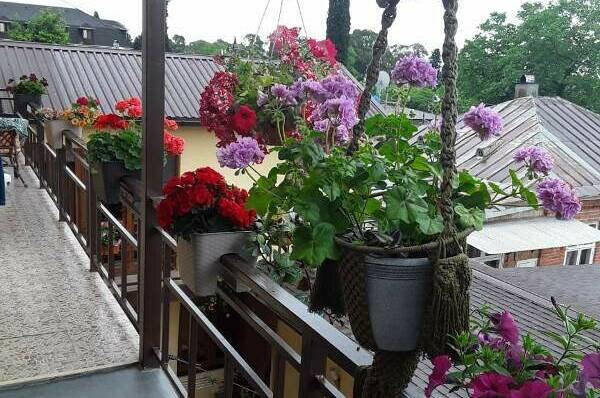 Гостевой дом «Мыс Надежды»