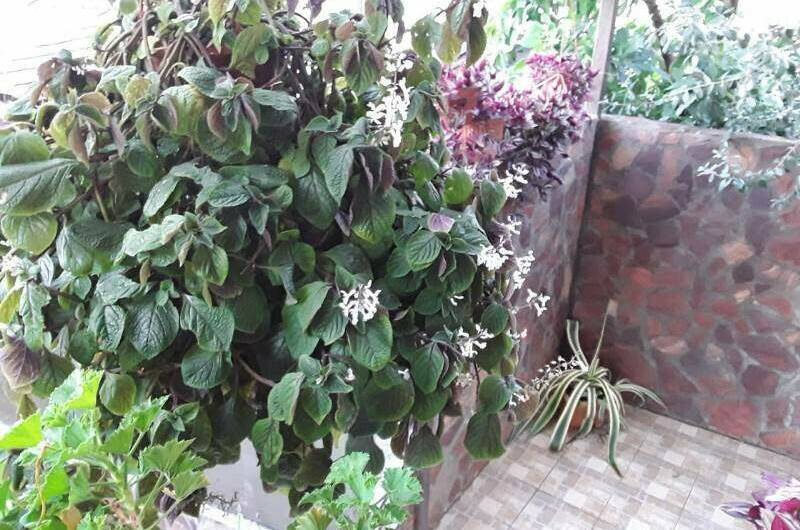 Гостевой дом «Мыс Надежды»