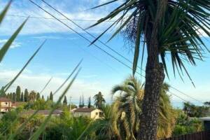 Изображение Гостевой дом «Вилла Блюз» #2