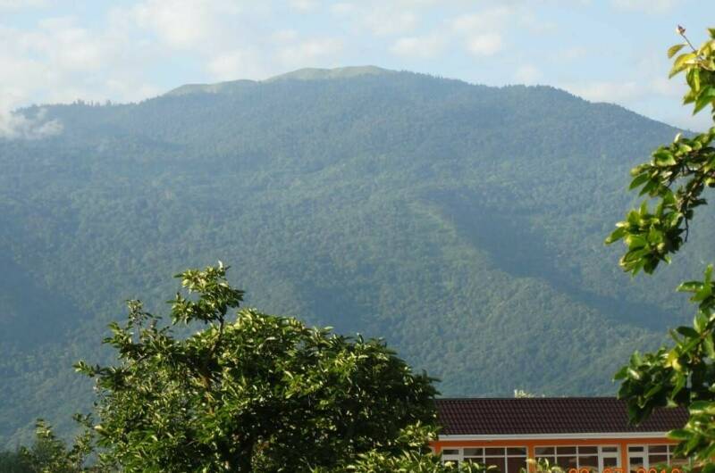 Гостевой дом «У Риммы»