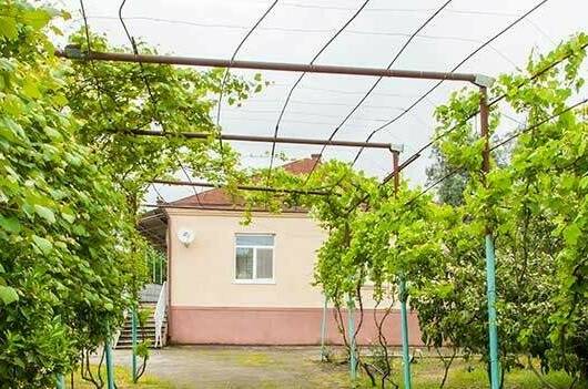 Гостевой дом «U Vili»