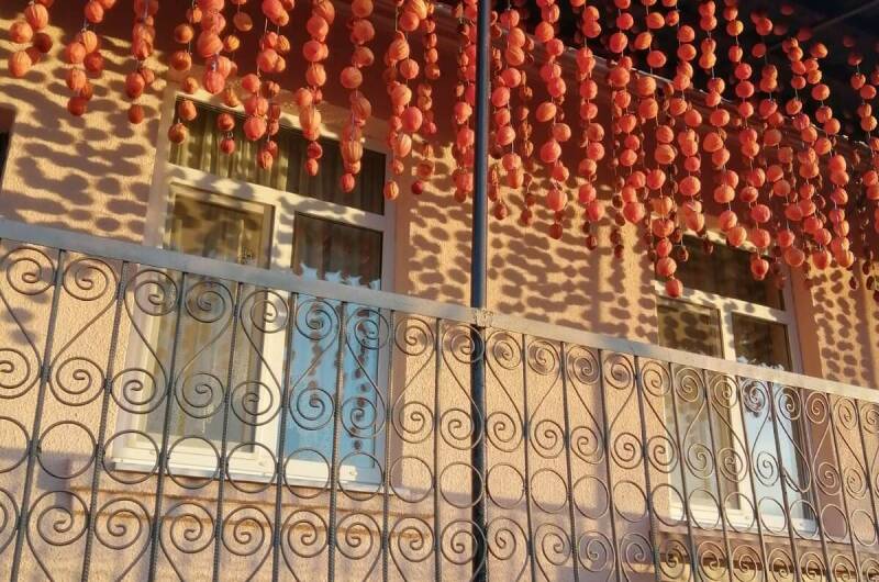 Гостевой дом «U Vili»