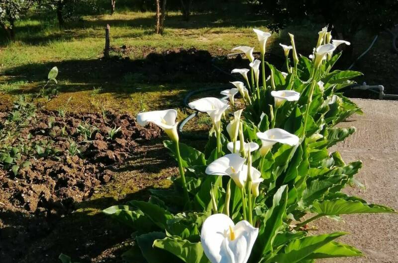 Гостевой дом «U Vili»