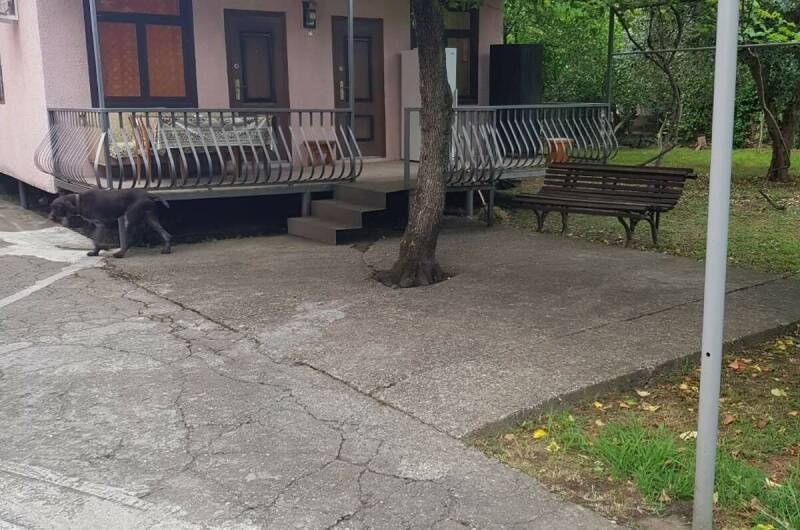 Отдельный дом под ключ