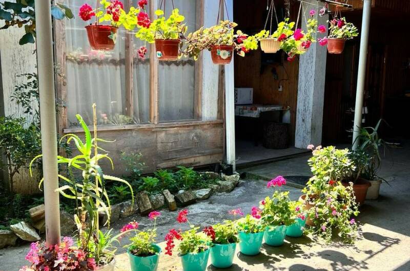 Гостевой дом «Морской бриз у Артура»