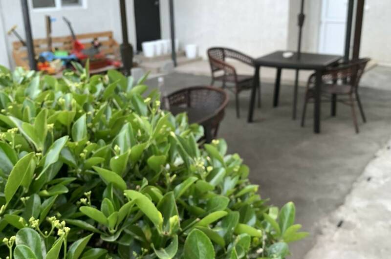 Гостевой дом «Sofia»