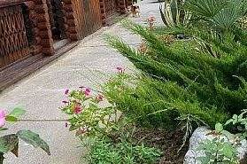 Гостевой дом «У Сурена»