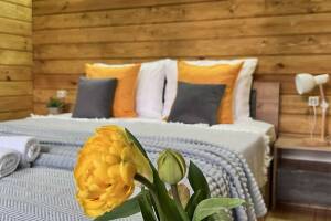 Изображение Эко-коттедж «Ашта» #3