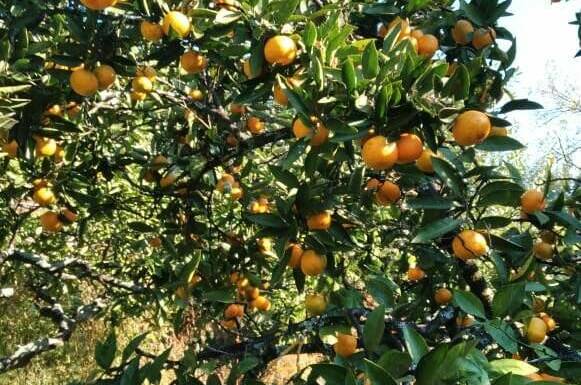 Гостевой дом «Анюта»