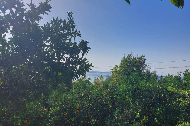 Гостевой дом «Анюта»