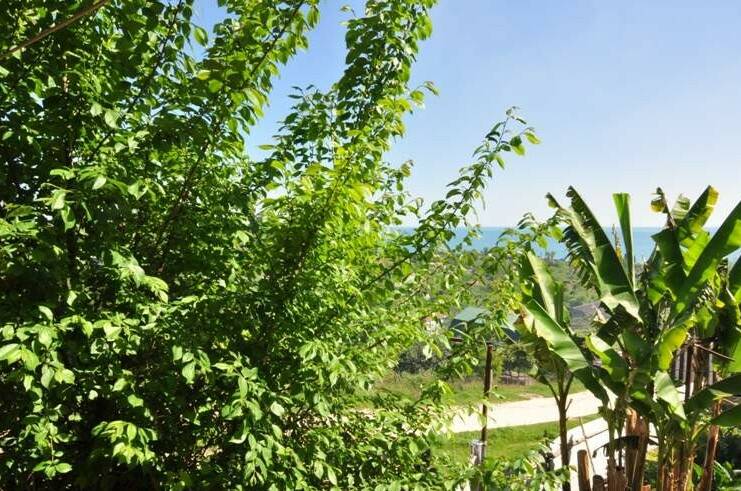 Гостевой дом «у Гаяне»