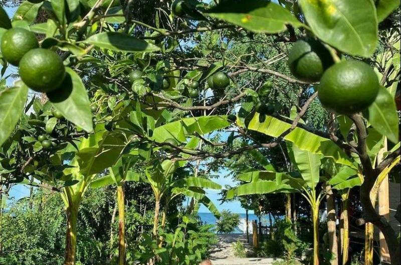 Отель «Aqua Palm Resort»