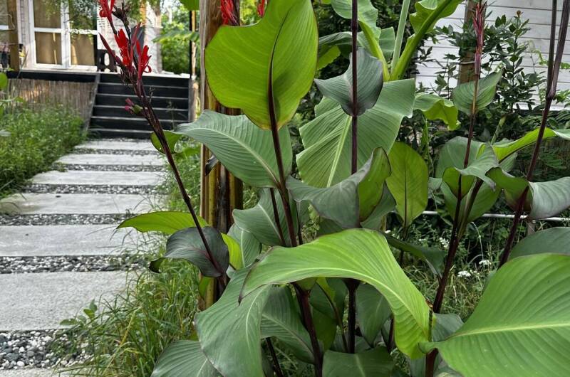 Отель «Aqua Palm Resort»